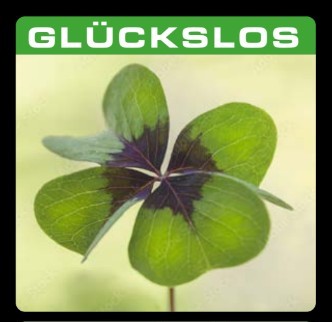 Der Gewinner des Sommer-Quartetts im Body Up Sendling wurde gezogen Glückslos Sommer-Quartett