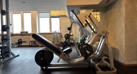 vertical legpress