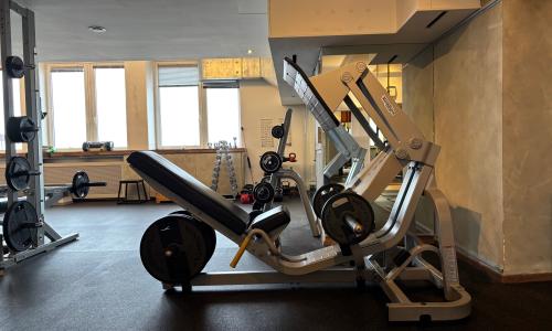 vertical legpress